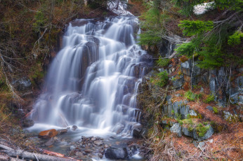 Картинка природа водопады брызги лес камни поток река деревья