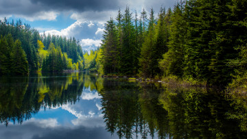 Картинка природа реки озера отражения лес весна озеро британская колумбия канада