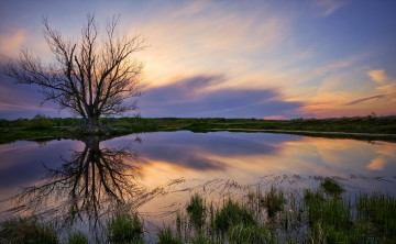 Картинка природа реки озера пейзаж закат дерево небо берег озеро природ