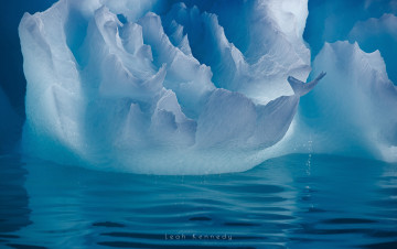 обоя природа, айсберги и ледники, антарктика, лёд, вода, айсберг