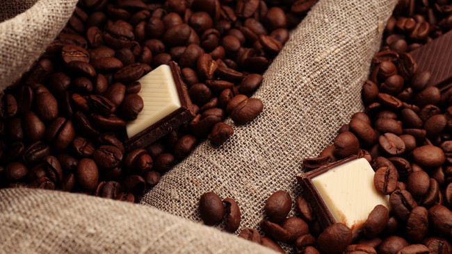 Обои картинки фото кофейные зерна, еда, кофе,  кофейные зёрна, кусочки, шоколада, кофейные, зерна