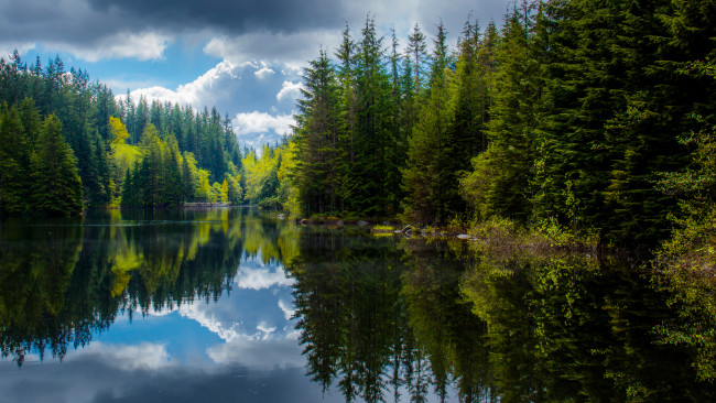Обои картинки фото природа, реки, озера, отражения, лес, весна, озеро, британская, колумбия, канада