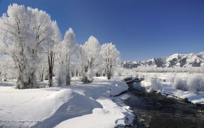 Обои картинки фото природа, зима, горы, снег, река, следы, кусты, деревья