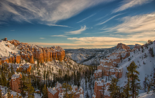 Обои картинки фото природа, горы, деревья, зима, скалы, снег, bryce, canyon, national, park, сша, юта