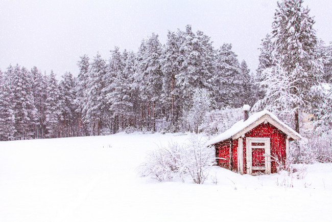 Обои картинки фото природа, зима, снег, деревья, лес, небо, норвегия