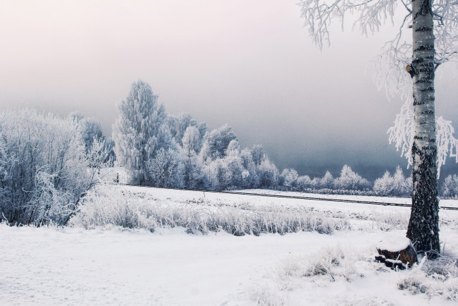 Обои картинки фото природа, зима, железная, дорога, иней, деревья, снег, швеция