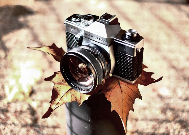 Обои картинки фото бренды, praktica, камера, фотоаппарат, лист, осень