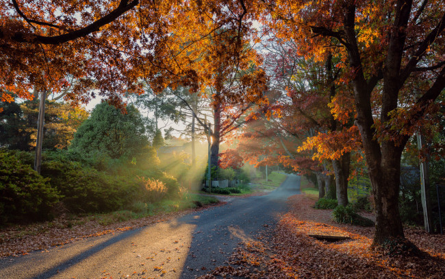 Обои картинки фото природа, дороги, дорога, деревья, осень, лучи