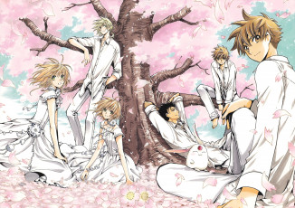 обоя аниме, tsubasa reservoir chronicles, существо, девушки, сакура, дерево, парни, цветение