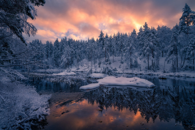 Обои картинки фото природа, реки, озера, закат, рингерике, отражение, лес, зима, norway, норвегия, ringerike, река, снег, деревья