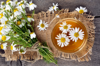 Картинка еда напитки +чай цветочный чай ромашки
