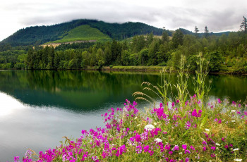 Картинка природа реки озера лето река вода