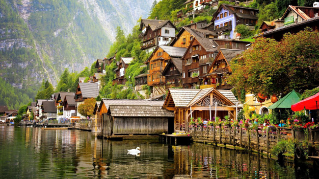 Обои картинки фото города, гальштат , австрия, горы, озеро, лебедь