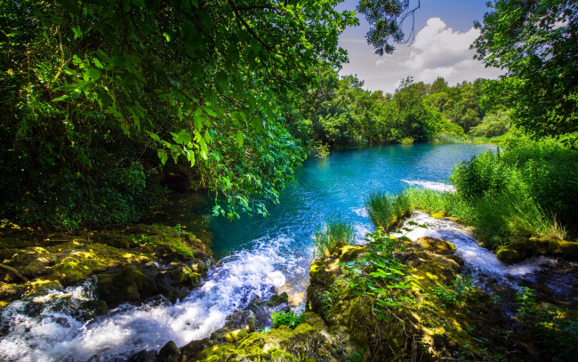 Обои картинки фото природа, реки, озера, деревья, река, вода
