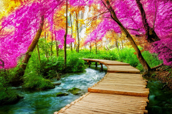 Картинка природа реки озера мостик деревья вода пейзаж