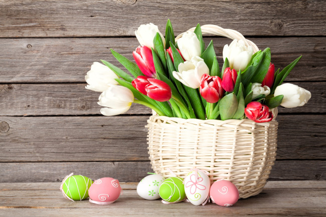 Обои картинки фото праздничные, пасха, тюльпаны, корзина, яйца