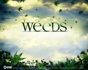 Картинка weeds кино фильмы