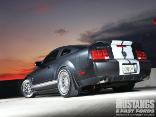 Картинка 2008 ford shelby gt500 автомобили mustang