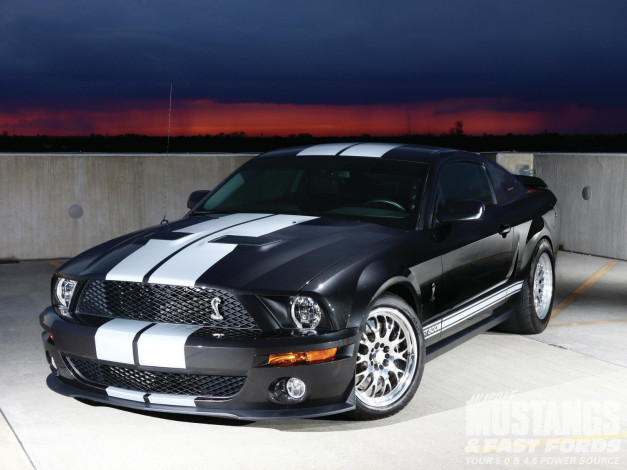 Обои картинки фото 2008, ford, shelby, gt500, автомобили, mustang