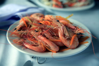 Картинка еда рыба морепродукты суши роллы креветки тарелка