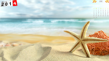 обоя календари, -другое, звезда, песок, пляж