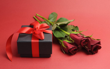 Картинка цветы розы red roses romantic gift романтика подарок любовь