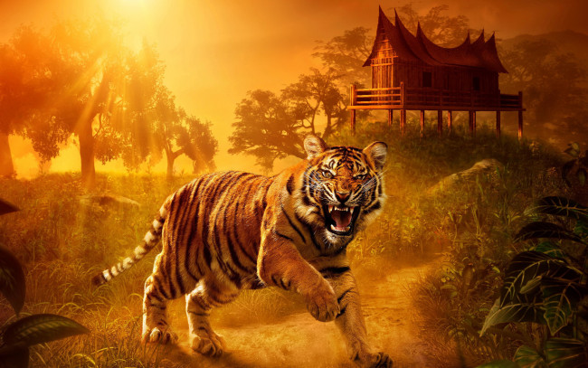Обои картинки фото животные, тигры, тигр, пейзаж