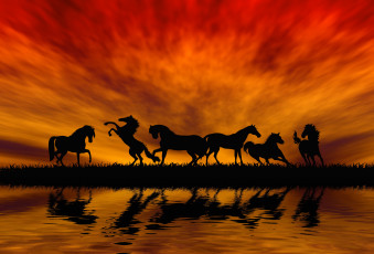 обоя рисованное, животные,  лошади, закат, отражение, оранжевый, силуэт