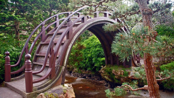 Картинка природа парк водоем арочный мостик
