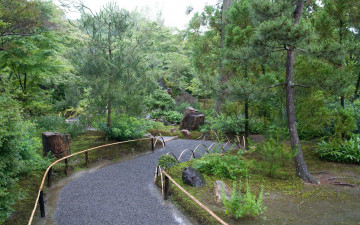 Картинка природа парк дорожка роща деревья ограда камни пни