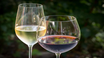 Картинка еда напитки +вино бокалы вино ассорти