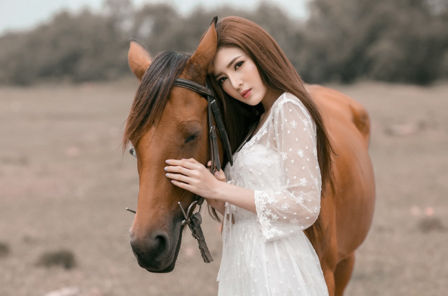 Обои картинки фото девушки, -unsort , азиатки, азиатка, конь, девушка