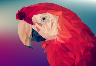 Картинка векторная+графика животные+ animals попугай