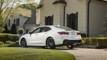 Картинка acura+tlx+a-spec+sh-awd+2019 автомобили acura a-spec tlx sh-awd белый 2019