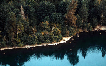 Картинка природа реки озера река лес отражение