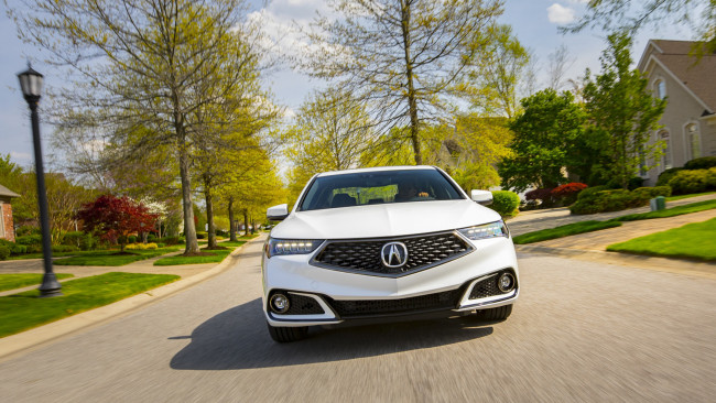 Обои картинки фото acura tlx a-spec sh-awd 2019, автомобили, acura, 2019, sh-awd, a-spec, tlx, белый