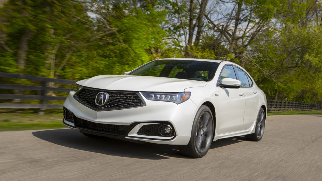 Обои картинки фото acura tlx a-spec sh-awd 2019, автомобили, acura, a-spec, tlx, sh-awd, 2019, белый