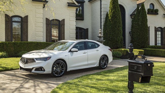 Обои картинки фото acura tlx a-spec sh-awd 2019, автомобили, acura, 2019, sh-awd, a-spec, tlx, белый