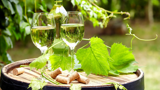Обои картинки фото еда, напитки,  вино, листья, бокалы, белое, бутылка, вино