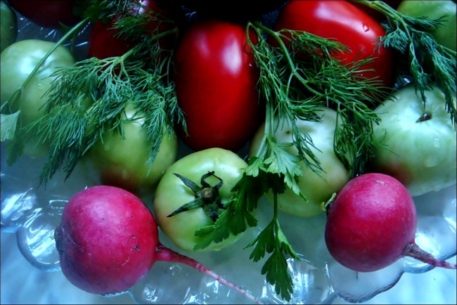 Обои картинки фото еда, овощи, томаты, помидоры, зелень, редис