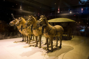 Картинка разное рельефы статуи музейные экспонаты лошади