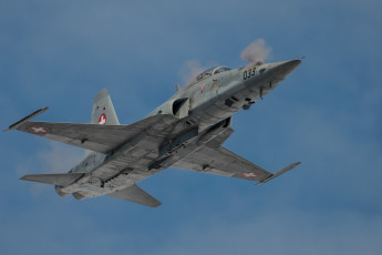 Картинка f5+tige авиация боевые+самолёты истребитель