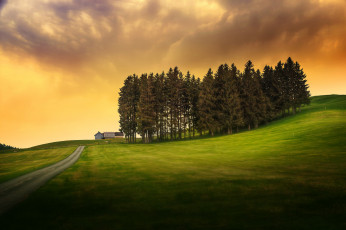 Картинка природа дороги поле дорога деревья дом небо