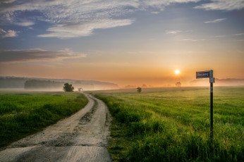Картинка природа дороги поле туман рассвет колея
