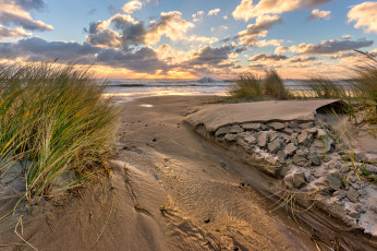 Картинка природа побережье океан пляж трава волны
