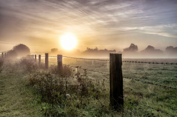 Картинка природа восходы закаты поле туман рассвет
