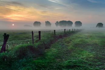Картинка природа восходы закаты утро поле туман