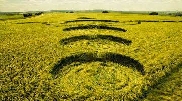 Картинка природа поля круги поле