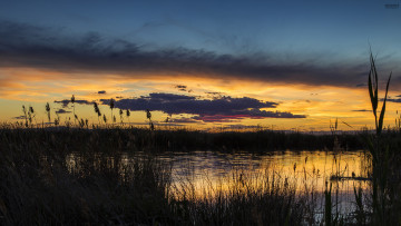 Картинка природа реки озера небо облака закат вечер камыш