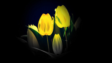 Картинка разное компьютерный+дизайн фон тюльпаны цветы